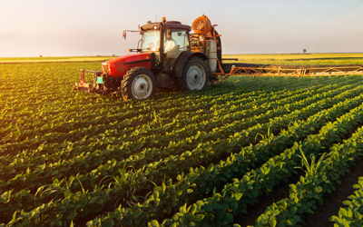 L’agriculture durable : cultiver notre avenir, un sol à la fois