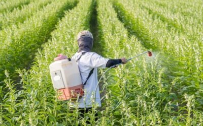 Les pesticides : Un danger invisible pour la santé humaine et comment s&rsquo;en protéger