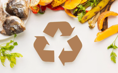 Réutilisation des biodéchets :  Un Geste Simple, un Impact Multiplié
